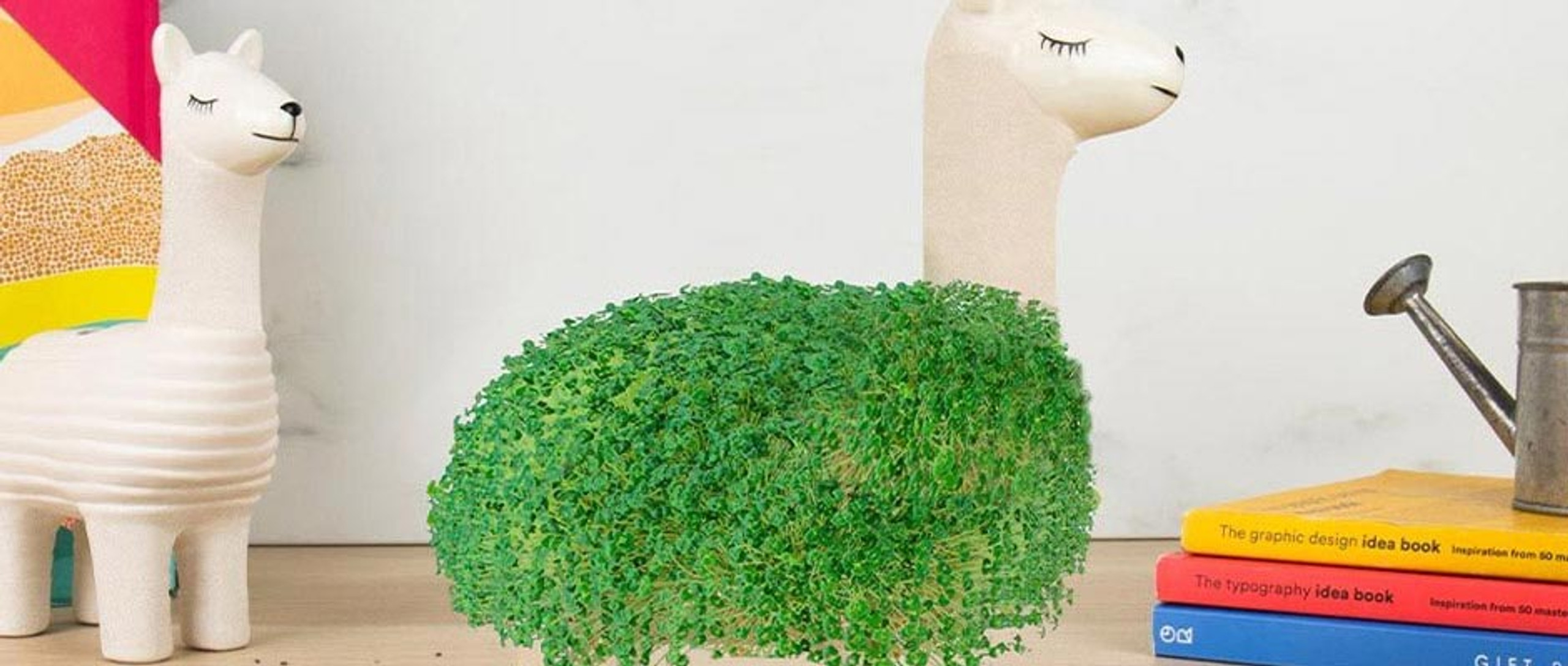 Novelty Gifts Shop Hundreds of Fun Gifts Online